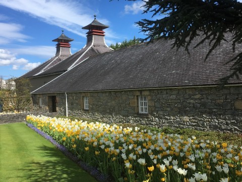Private Tour along the Whisky Trail ( one to six days)