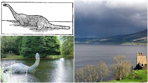 Loch Ness & Inverness - 1 Day Tour