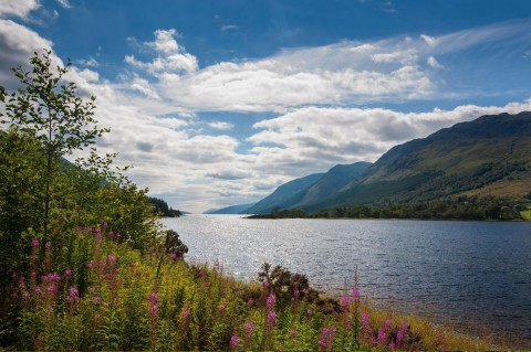 Loch Ness Cruise, Waterfalls Walk, Glencoe & Scottish H...