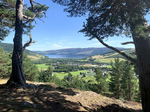Rogues, Picts and a dram above Loch Ness