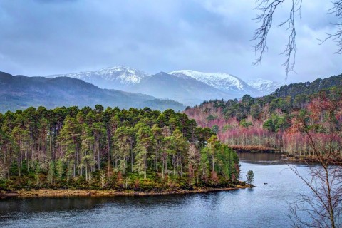 Loch Ness and Glen Affric One Day Private Tour from Inv...