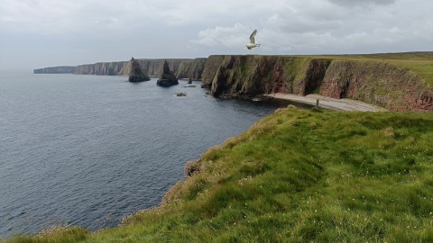 Scotland's Hidden North - Discovering Caithness & Suthe...