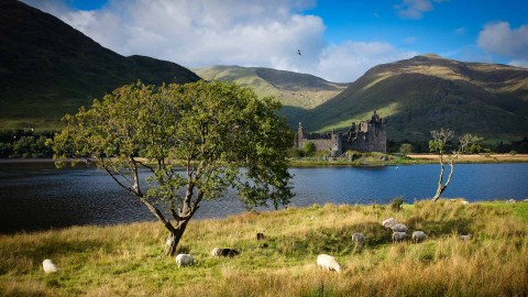 West Highland Heritage Trail - Arran & Argyll