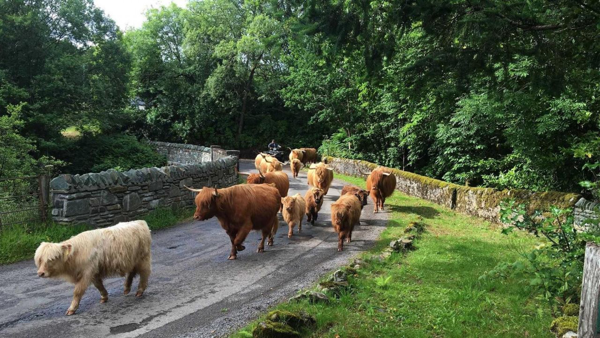 Cladich Estate Farm Tour Visitscotland