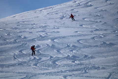 Ski Touring Courses