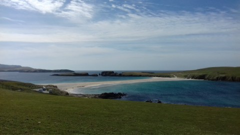 Pure Shetland Islands nature experience (2700 km of coa...