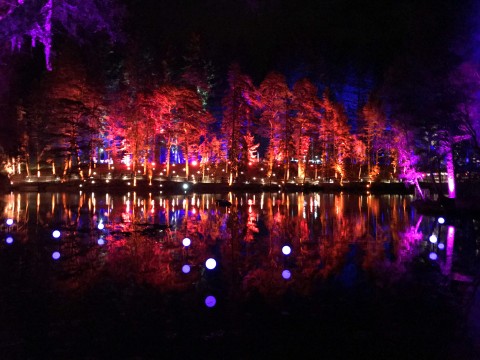 The Wonders of Autumn in Pitlochry’s Enchanted Forest