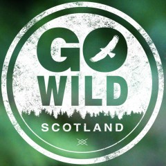 Go Wild Scotland CIC
