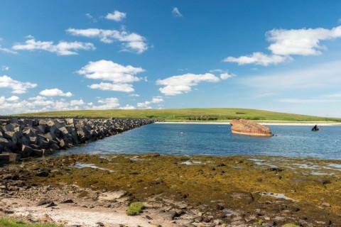 Scotland's Far North, Shetland & Orkney 2023