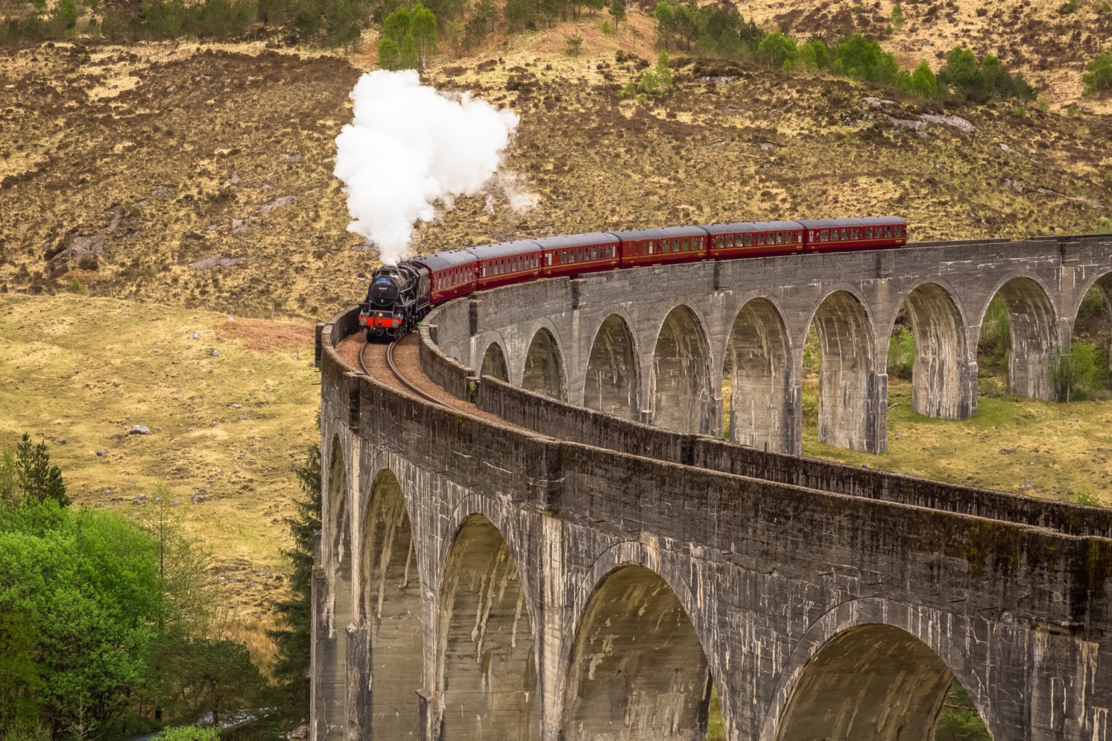 blauwe vinvis rust Aandringen 1 Day Harry Potter Train & The Scenic Highlands | VisitScotland