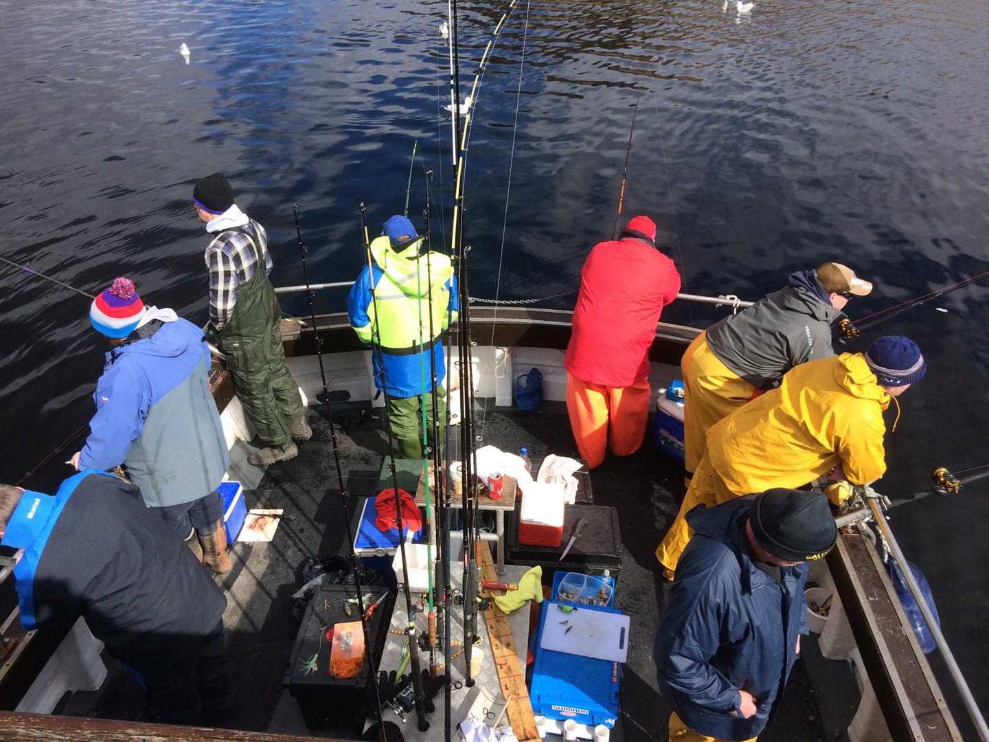 Argyll Fishing Trips, Scotland