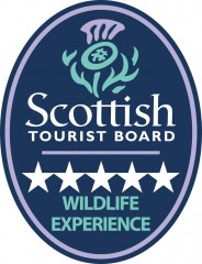 Highland Wildlife and Birdwatch Safaris