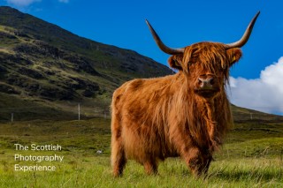 The Scottish Photography Experience