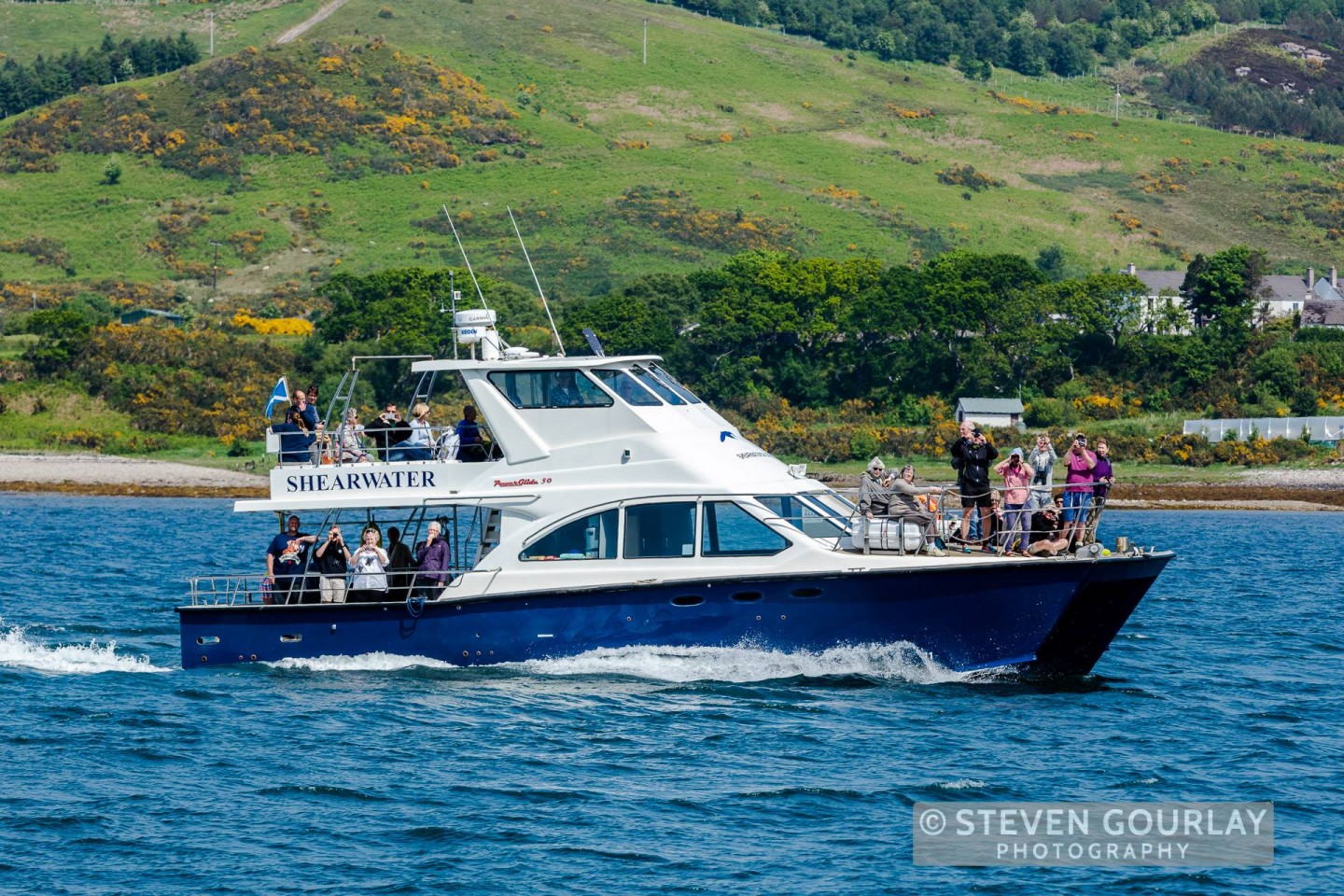 shearwater boat trip