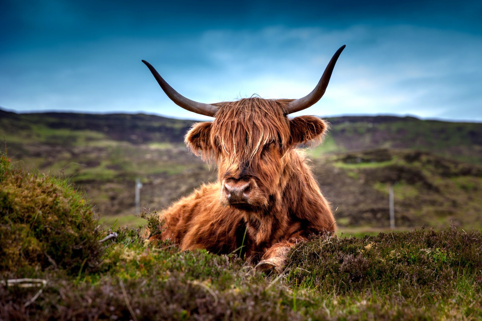 Aberdeenshire Castles Cows and Whisky Private Day Trip | VisitScotland