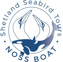 Shetland Seabird Tours - The Noss Boat