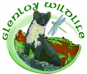 Glenloy Wildlife