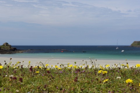 Idyllic Islands:  Mull, Iona, Staffa & Treshnish Isles...