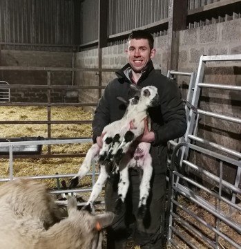Farm Tours in Scotland | Lambing Experience