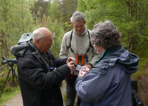 ID Workshop for Moths: Spring Scottish Specialities