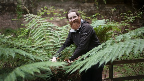 Learn How to Forage - At Kelburn Country Park and Estat...