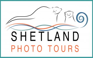 Shetland Photo Tours