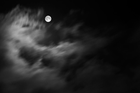 Full Moon Photo Walks