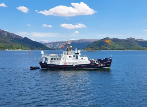 The Sounds of Mull and Linnhe Wildlife Cruise